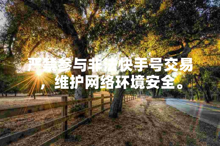 严禁参与非法快手号交易，维护网络环境安全。