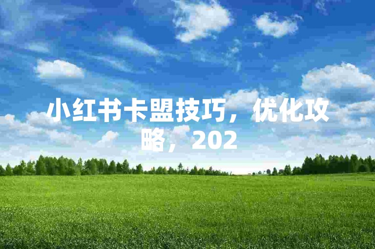 小红书卡盟技巧，优化攻略，2025轻松掌握！