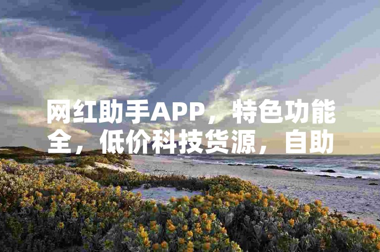 网红助手APP，特色功能全，低价科技货源，自助下单便捷体验！