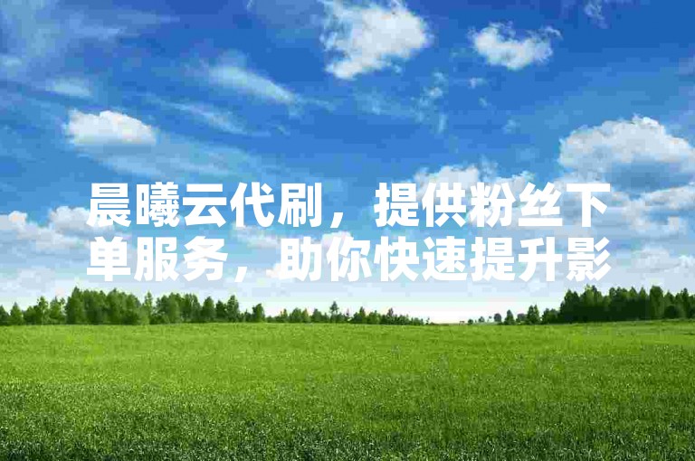 晨曦云代刷，提供粉丝下单服务，助你快速提升影响力。
