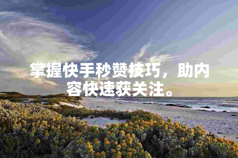 掌握快手秒赞技巧，助内容快速获关注。