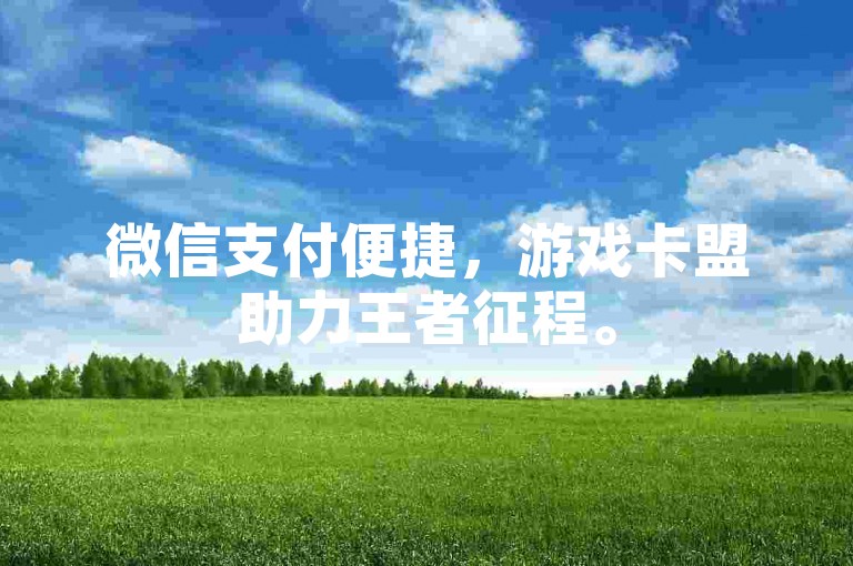 微信支付便捷，游戏卡盟助力王者征程。