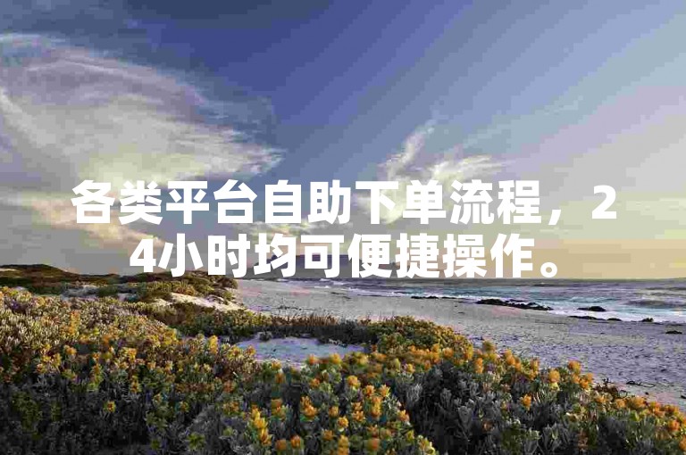 各类平台自助下单流程，24小时均可便捷操作。