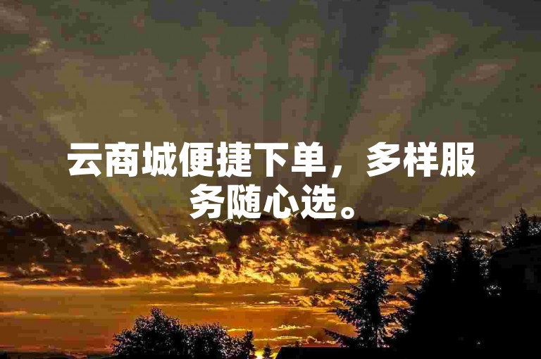 云商城便捷下单，多样服务随心选。