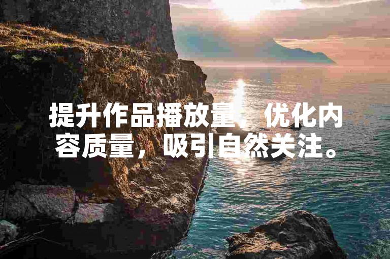 提升作品播放量，优化内容质量，吸引自然关注。