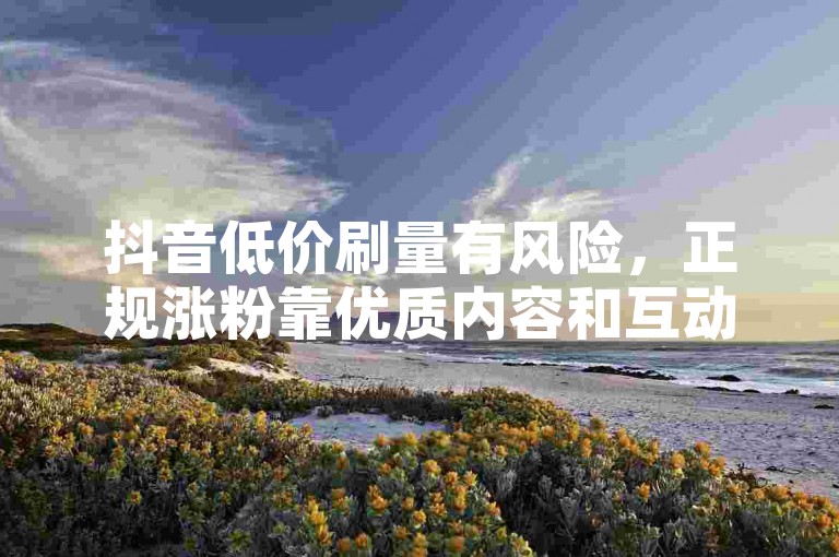 抖音低价刷量有风险，正规涨粉靠优质内容和互动。