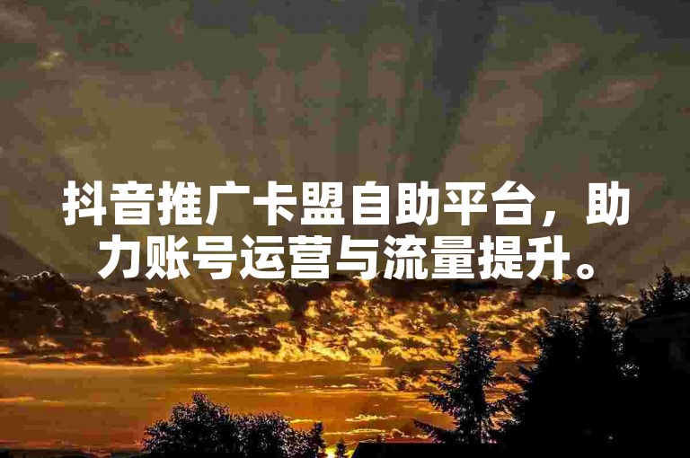 抖音推广卡盟自助平台，助力账号运营与流量提升。
