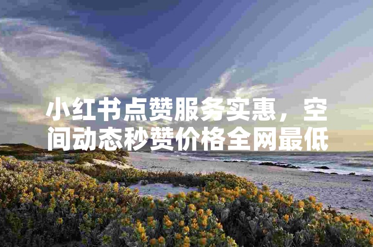小红书点赞服务实惠，空间动态秒赞价格全网最低