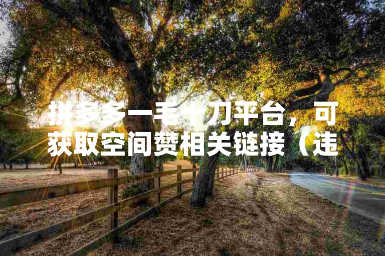 拼多多一毛十刀平台，可获取空间赞相关链接（违规操作不可取）。