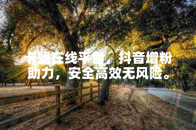 卡盟在线平台，抖音增粉助力，安全高效无风险。