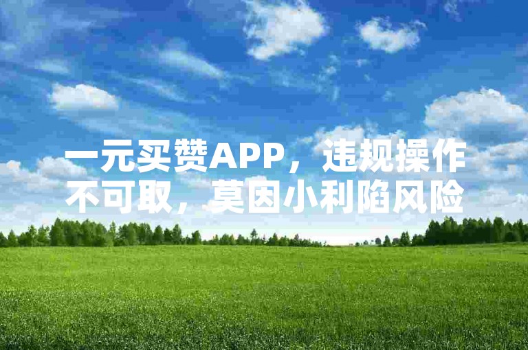一元买赞APP，违规操作不可取，莫因小利陷风险。