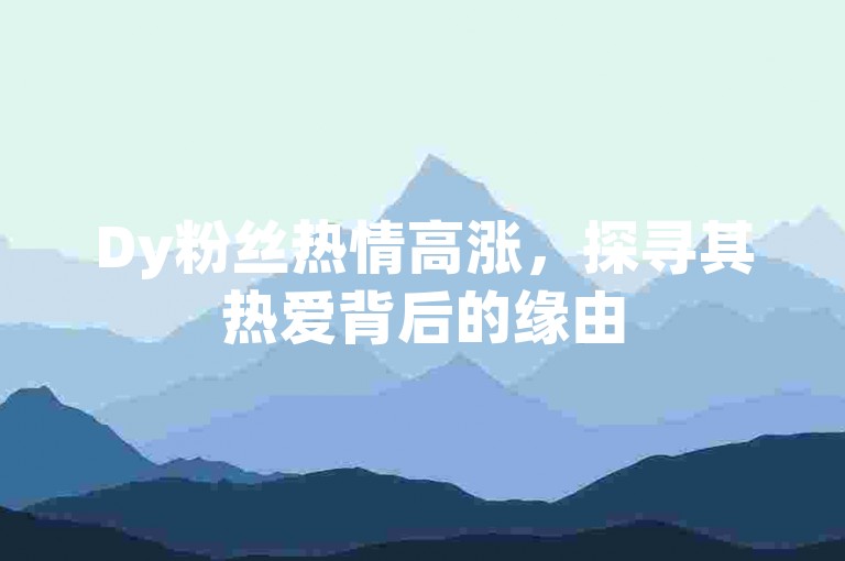 Dy粉丝热情高涨，探寻其热爱背后的缘由