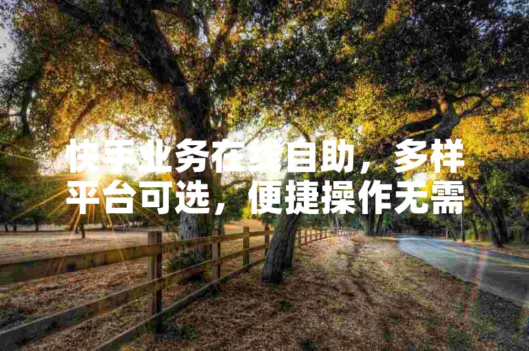快手业务在线自助，多样平台可选，便捷操作无需忧。