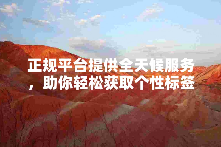 正规平台提供全天候服务，助你轻松获取个性标签。