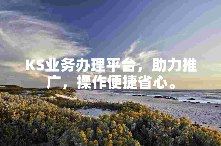 KS业务办理平台，助力推广，操作便捷省心。