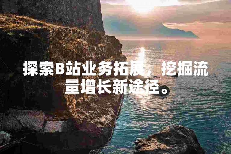 探索B站业务拓展，挖掘流量增长新途径。