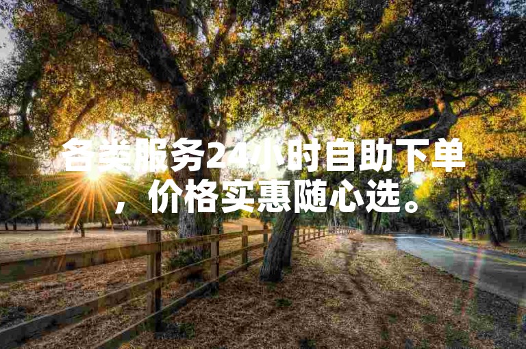 各类服务24小时自助下单，价格实惠随心选。
