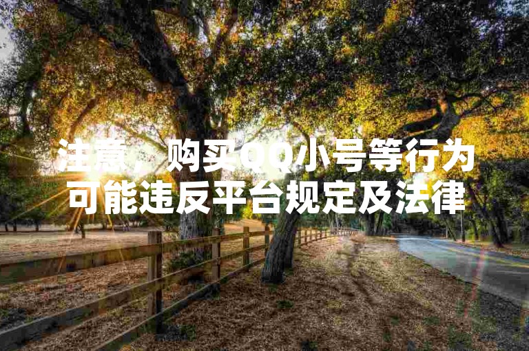 注意，购买QQ小号等行为可能违反平台规定及法律法规，存在诸多风险，不建议进行此类操作。