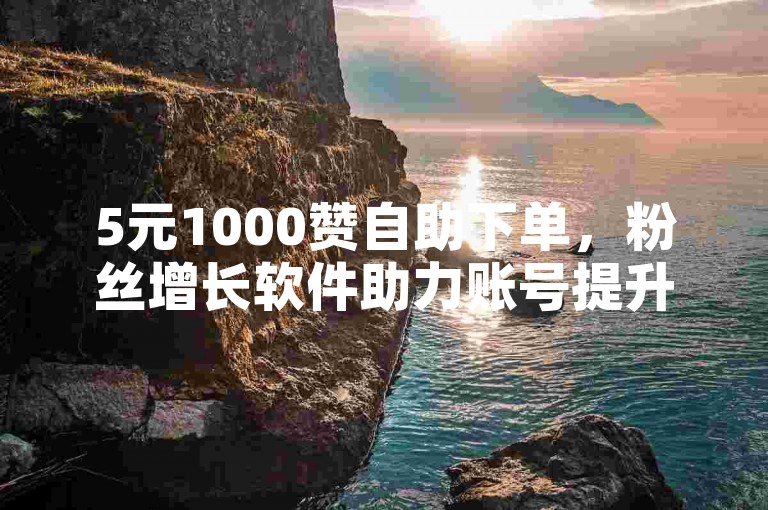 5元1000赞自助下单，粉丝增长软件助力账号提升人气。