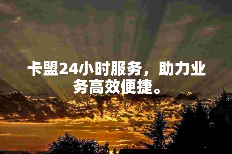 卡盟24小时服务，助力业务高效便捷。