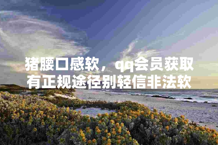猪腰口感软，qq会员获取有正规途径别轻信非法软件。