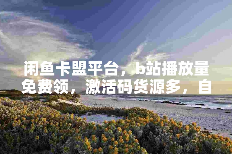 闲鱼卡盟平台，b站播放量免费领，激活码货源多，自助下单便捷