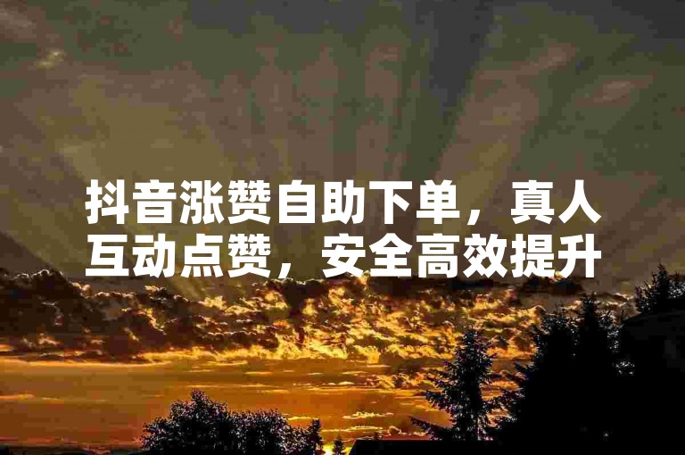 抖音涨赞自助下单，真人互动点赞，安全高效提升人气。
