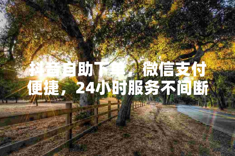 抖音自助下单，微信支付便捷，24小时服务不间断。
