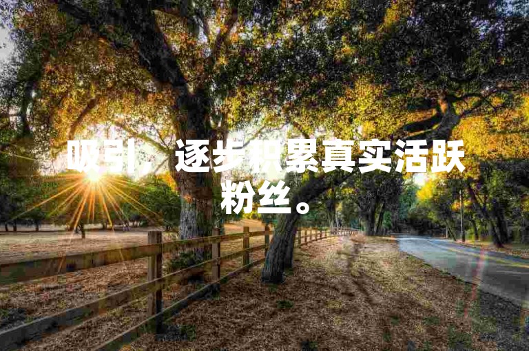 吸引，逐步积累真实活跃粉丝。