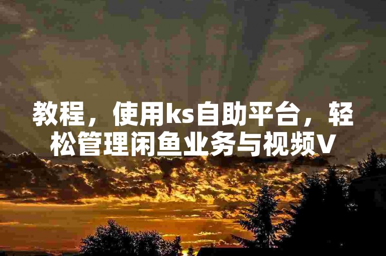 教程，使用ks自助平台，轻松管理闲鱼业务与视频VIP服务。