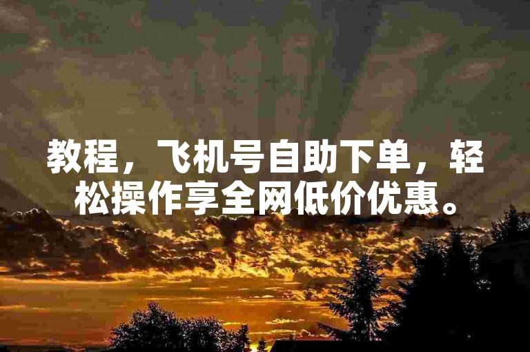 教程，飞机号自助下单，轻松操作享全网低价优惠。