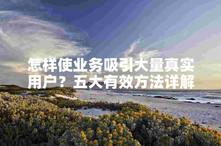 怎样使业务吸引大量真实用户？五大有效方法详解