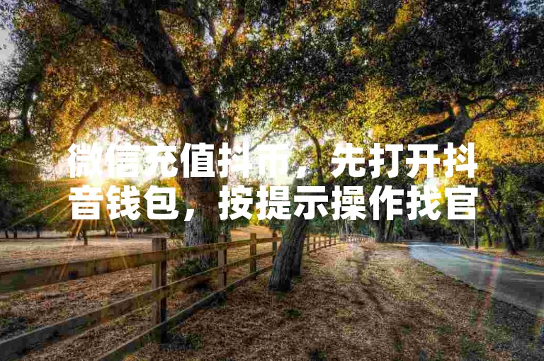 微信充值抖币，先打开抖音钱包，按提示操作找官方入口充值。