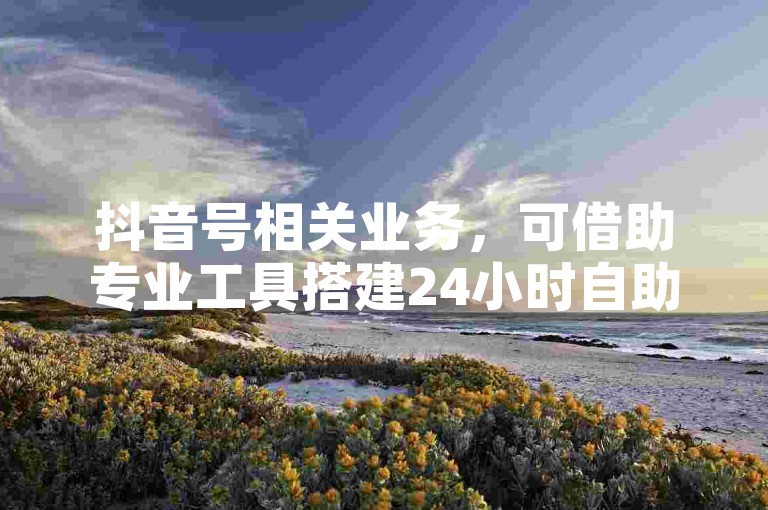 抖音号相关业务，可借助专业工具搭建24小时自助下单平台。