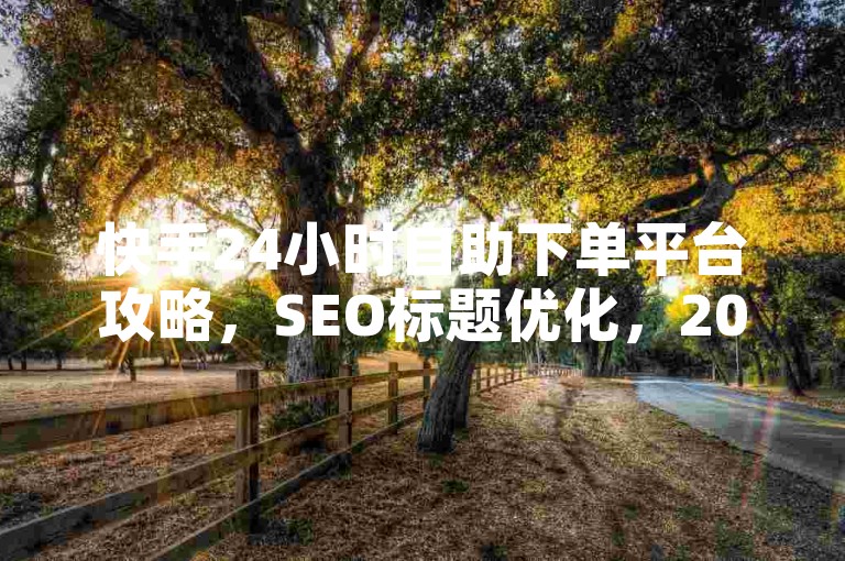 快手24小时自助下单平台攻略，SEO标题优化，2024必备技巧！