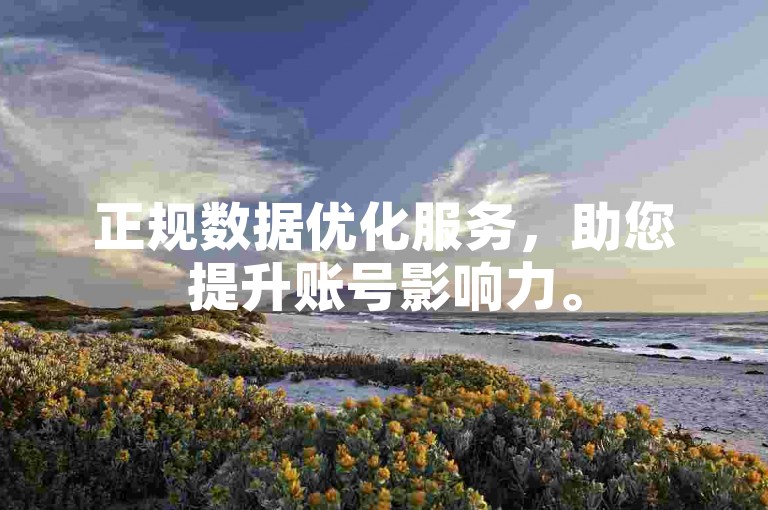 正规数据优化服务，助您提升账号影响力。