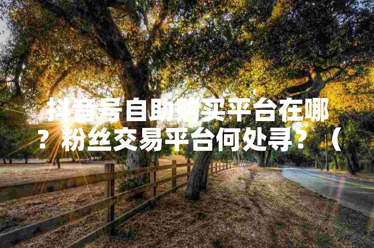 抖音号自助购买平台在哪？粉丝交易平台何处寻？（注，仅为示例，实际此类交易可能违反平台规定及法律法规）
