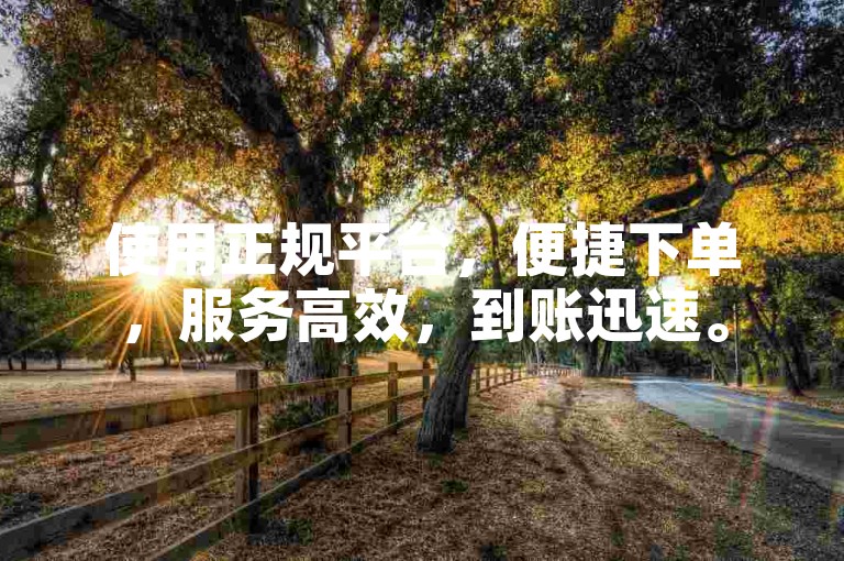 使用正规平台，便捷下单，服务高效，到账迅速。