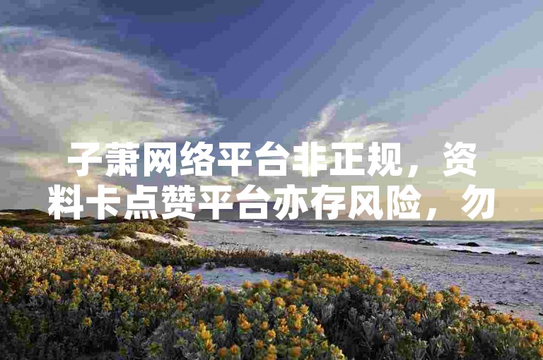子萧网络平台非正规，资料卡点赞平台亦存风险，勿轻信使用。