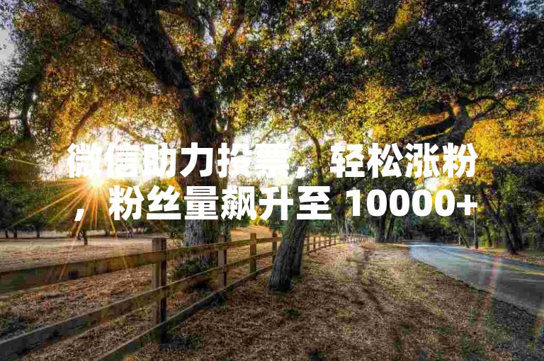 微信助力投票，轻松涨粉，粉丝量飙升至 10000+ 的秘诀。