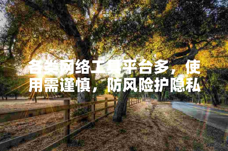 各类网络工具平台多，使用需谨慎，防风险护隐私。
