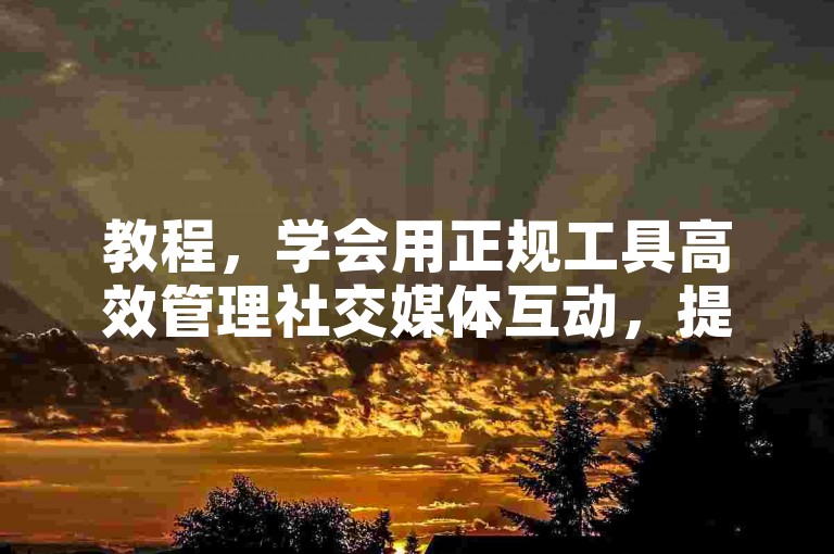 教程，学会用正规工具高效管理社交媒体互动，提升内容曝光。