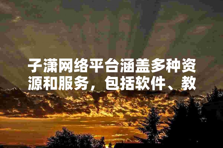 子潇网络平台涵盖多种资源和服务，包括软件、教程及模板等。