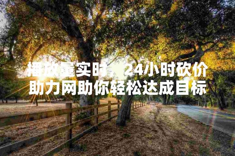 播放量实时，24小时砍价助力网助你轻松达成目标。