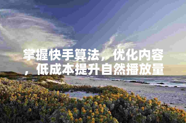 掌握快手算法，优化内容，低成本提升自然播放量！