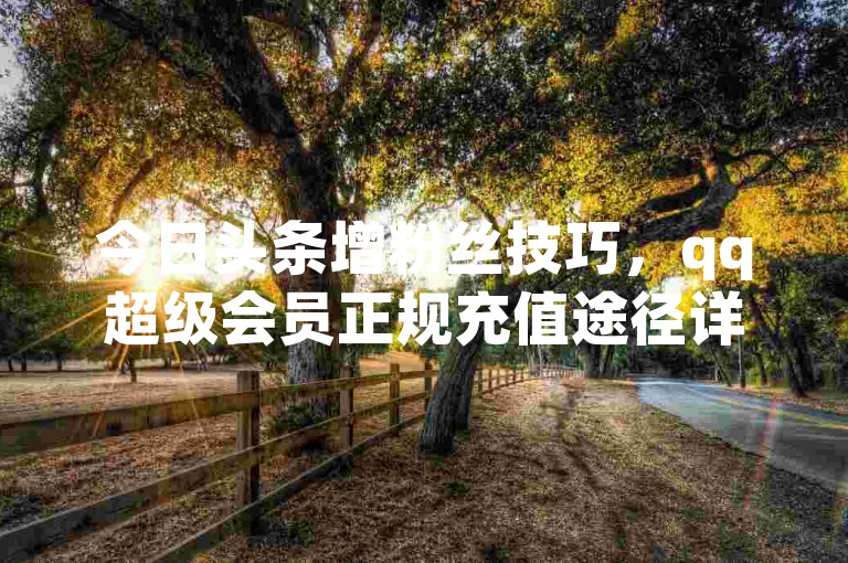 今日头条增粉丝技巧，qq超级会员正规充值途径详解。
