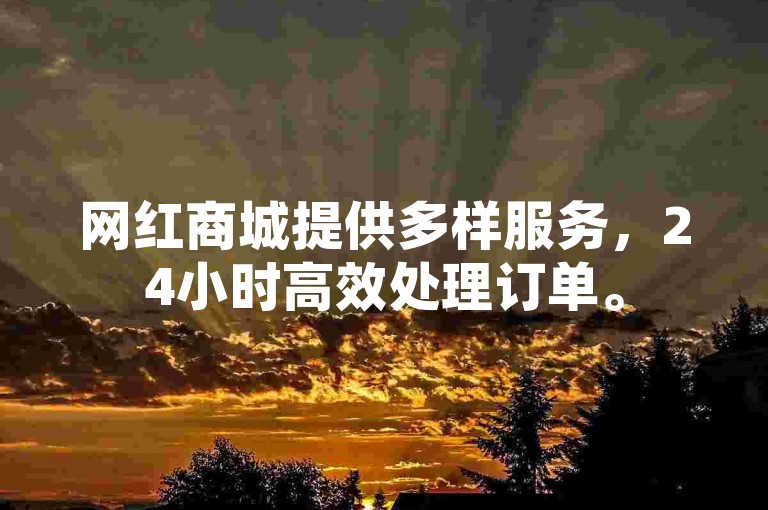 网红商城提供多样服务，24小时高效处理订单。