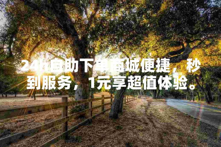 24h自助下单商城便捷，秒到服务，1元享超值体验。