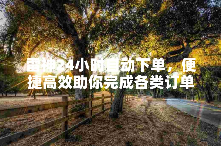 雷神24小时自动下单，便捷高效助你完成各类订单操作。