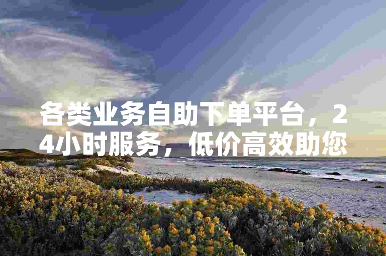 各类业务自助下单平台，24小时服务，低价高效助您快速达成目标。